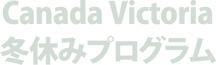 VIECChristmas Program